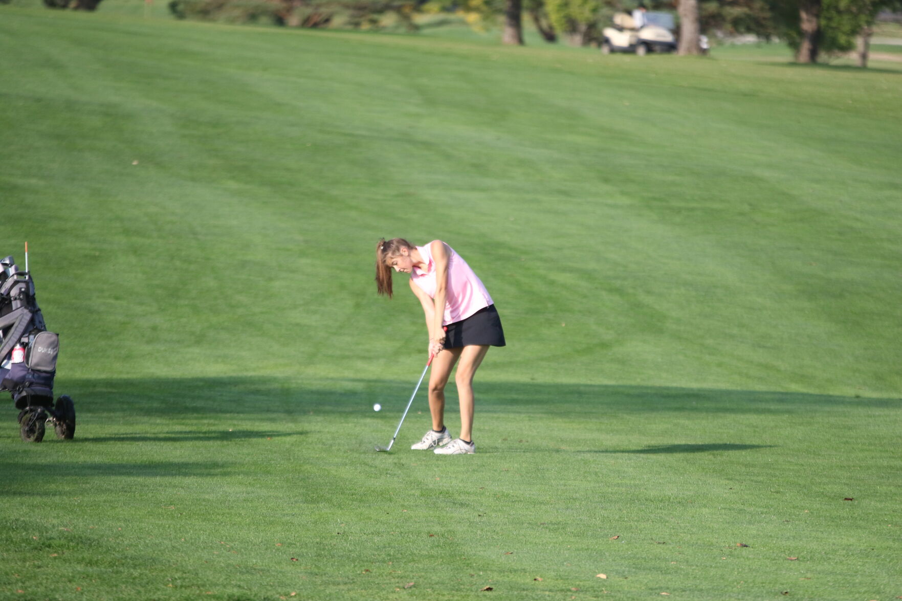 Pius X Golf Invite, Sept. 24 14.JPG